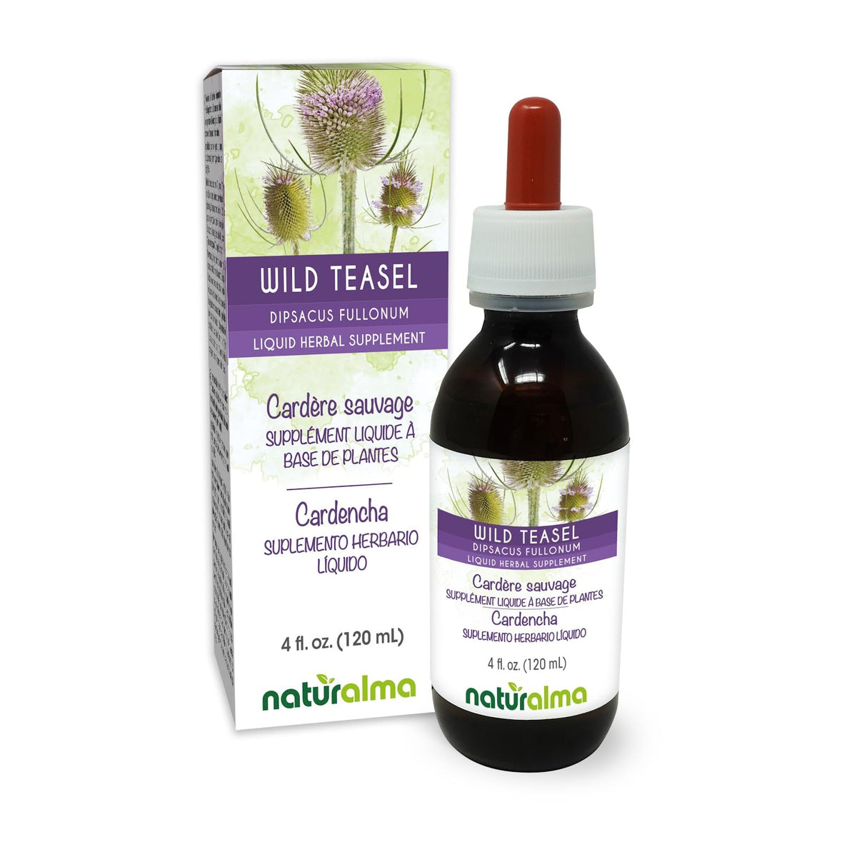Naturalma Wild Teasel Root Alcohol-Free Tincture - 4 fl oz