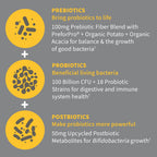 Garden of Life Dr. Formulated Pre, Pro & Postbiotics 100B CFU - 30 Capsules - image 4