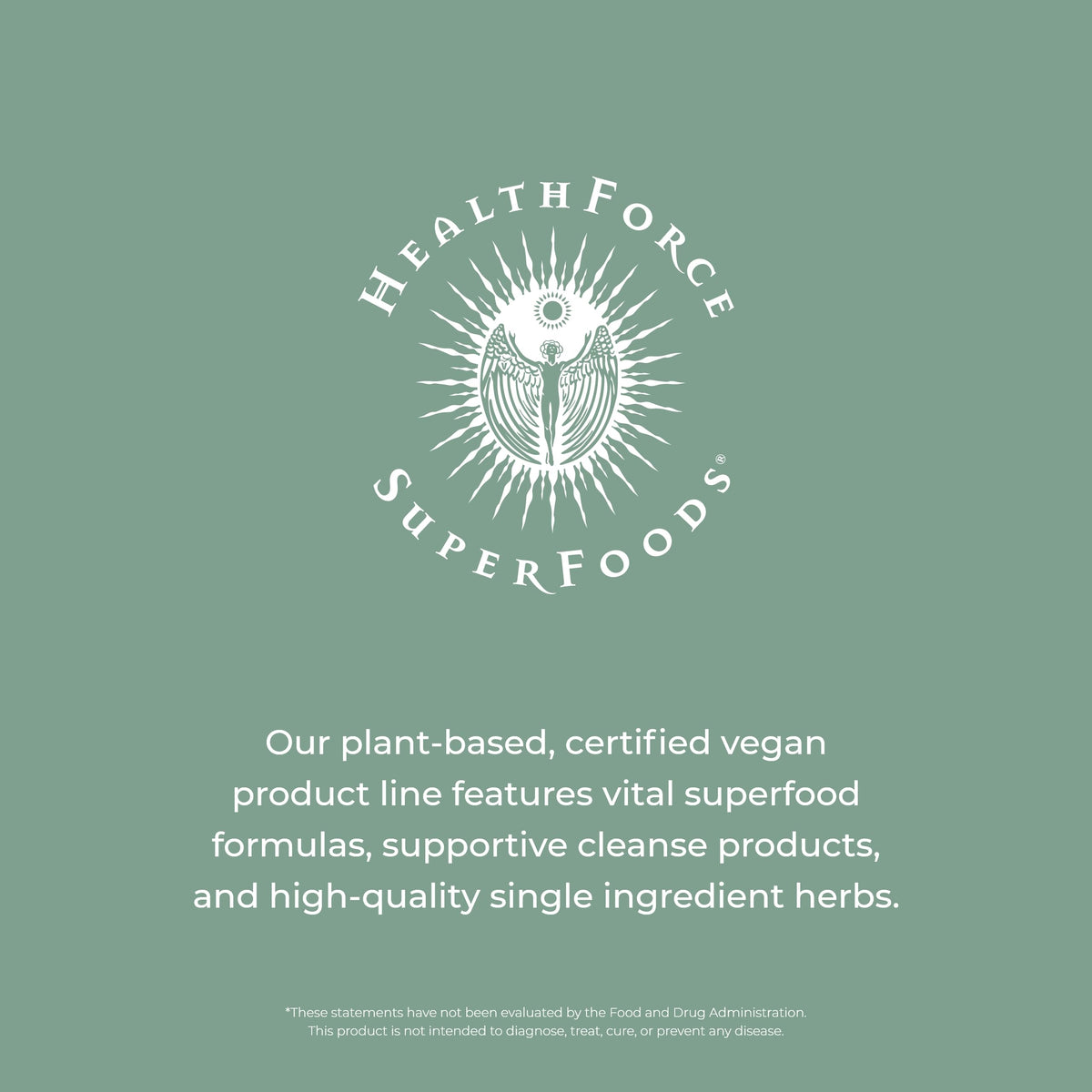 HEALTHFORCE SUPERFOODS Vitamin C Immune Support Powder - 400g - image 8