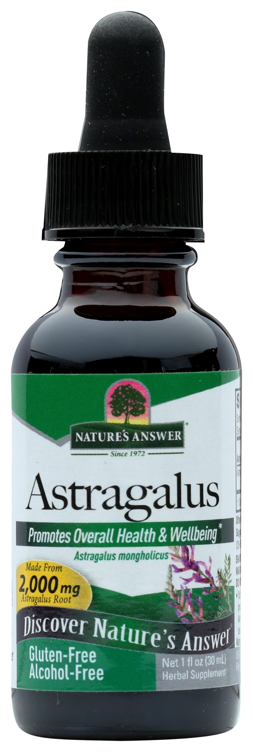 Nature's Answer Astragalus Root Alcohol Free Supplement - 1 Fl Oz
