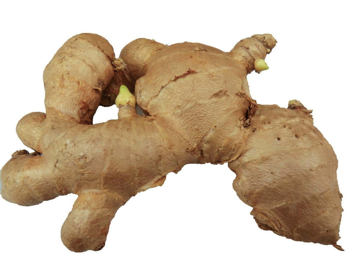 Om India Plaza Fresh Ginger Root Whole - 1 Pound - image 4