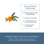 Eclectic Herb Sea Buckthorn Capsules 400 mg - 90 Capsules - image 5
