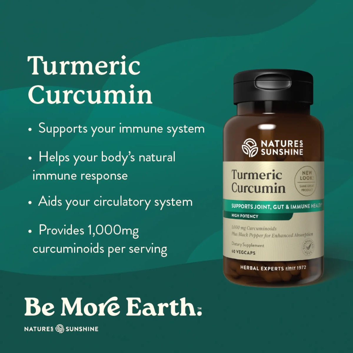 Nature's Sunshine Turmeric Curcumin - 60 Vegetarian Capsules - image 2