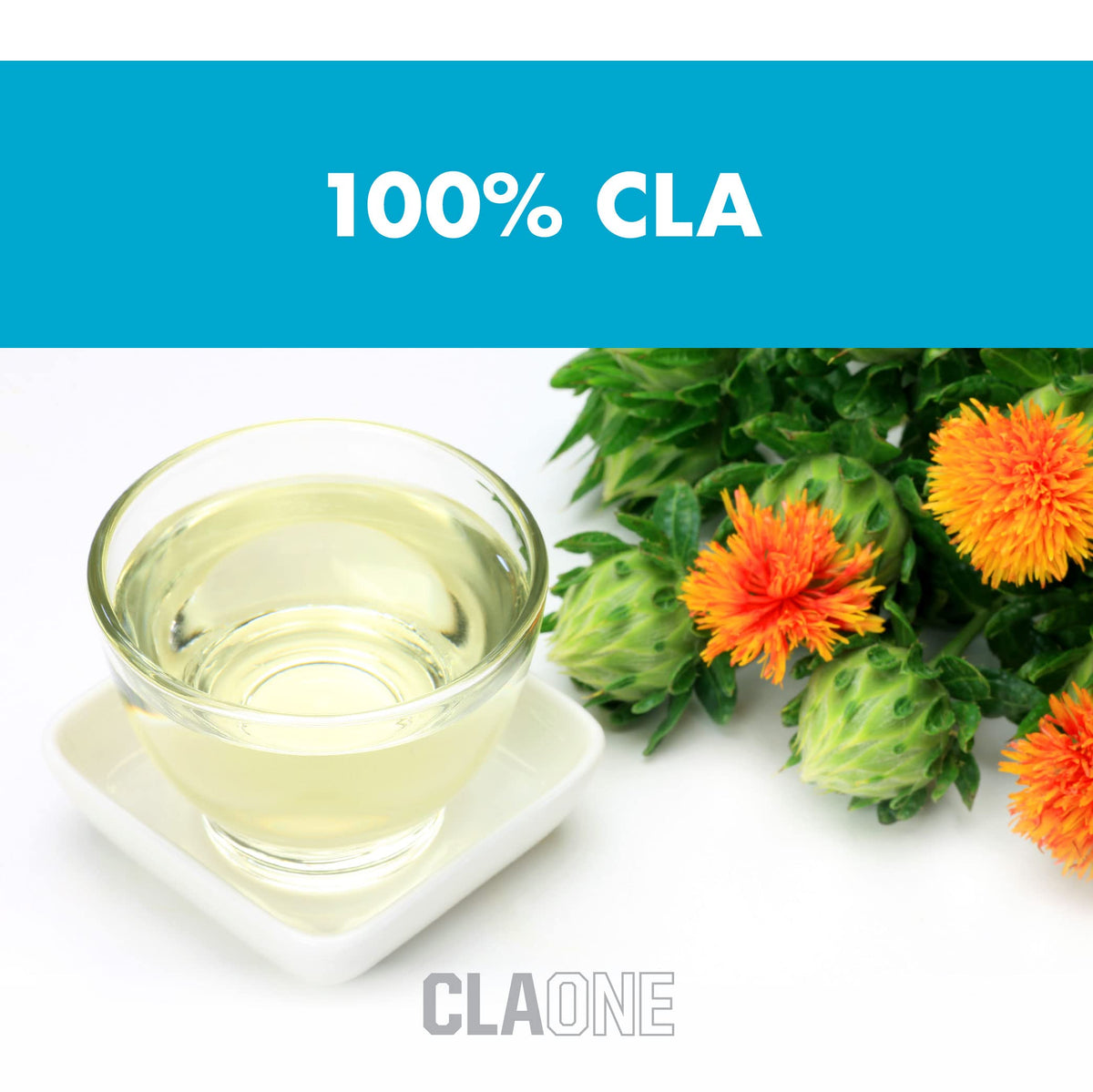 NutraOne CLAOne Conjugated Linoleic Acid Supplement - 90 Capsules - image 6