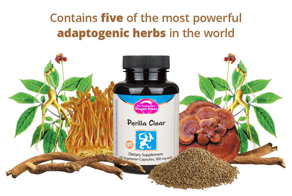 Dragon Herbs Perilla Clear Capsules - 60 Capsules - image 3