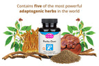 Dragon Herbs Perilla Clear Capsules - 60 Capsules - image 3
