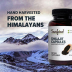 Sunfood Superfoods Raw Shilajit Capsules - 90 Capsules - image 6