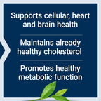 Life Extension Mega Green Tea Extract Lightly Caffeinated - 100 Capsules - image 4