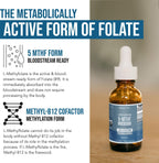 Triquetra Health Organic Methylfolate 1000mcg + Methyl B12 - 1 Fl Oz - image 3