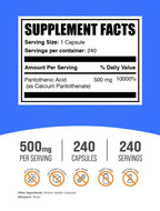 BulkSupplements Vitamin B5 Pantothenic Acid 500 mg - 240 Capsules - image 2