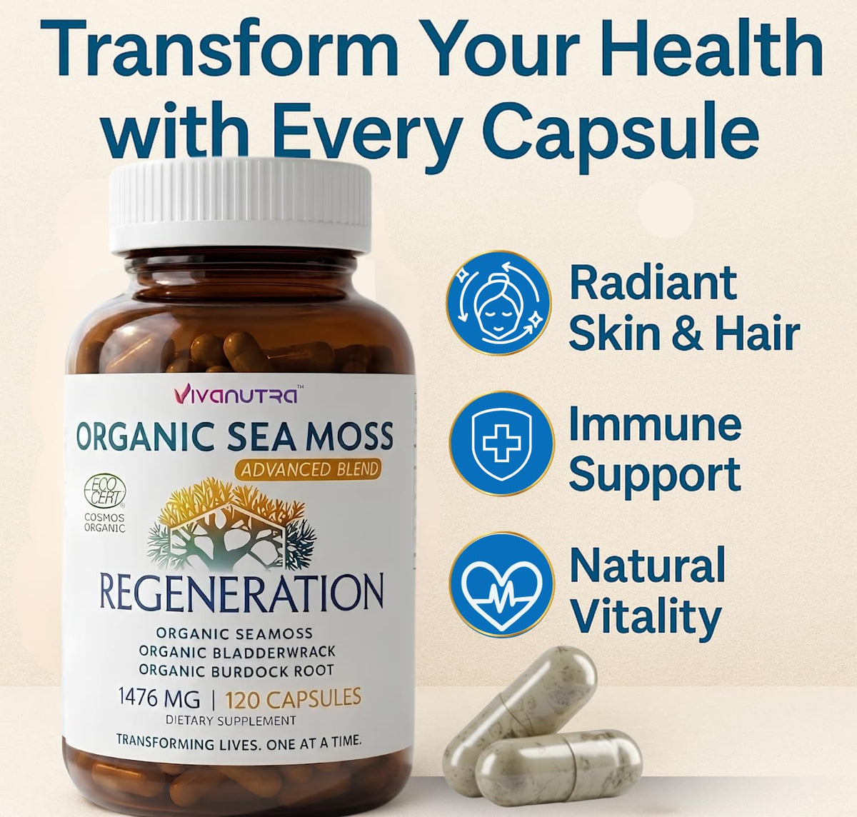 VIVANUTRA Organic Wildcrafted Sea Moss Capsules 1476mg - 120 Count - image 3