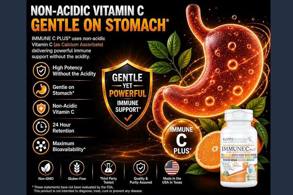 KAPPA NUTRITION Immune C Plus 14 in 1 Complex - 120 Capsules - image 4