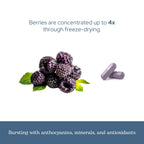 Eclectic Institute Black Raspberry Capsules Antioxidant Support - 90 Capsules - image 6