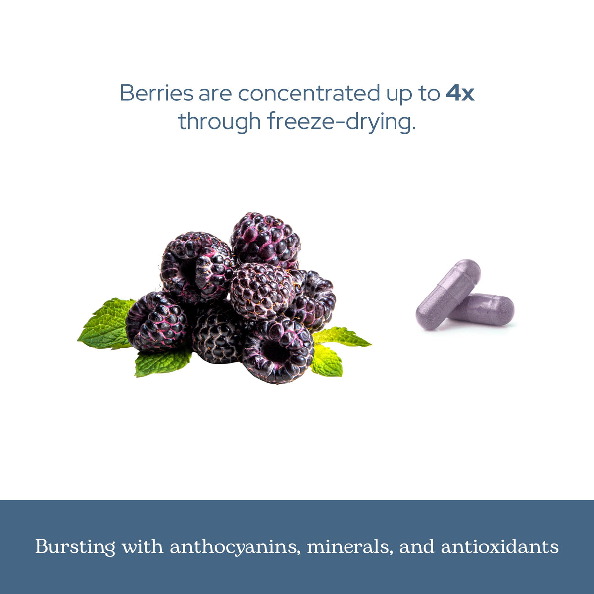 Eclectic Institute Black Raspberry Capsules Antioxidant Support - 90 Capsules - image 6