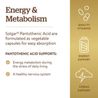 Solgar Pantothenic Acid 550 mg - 100 Vegetable Capsules - image 4