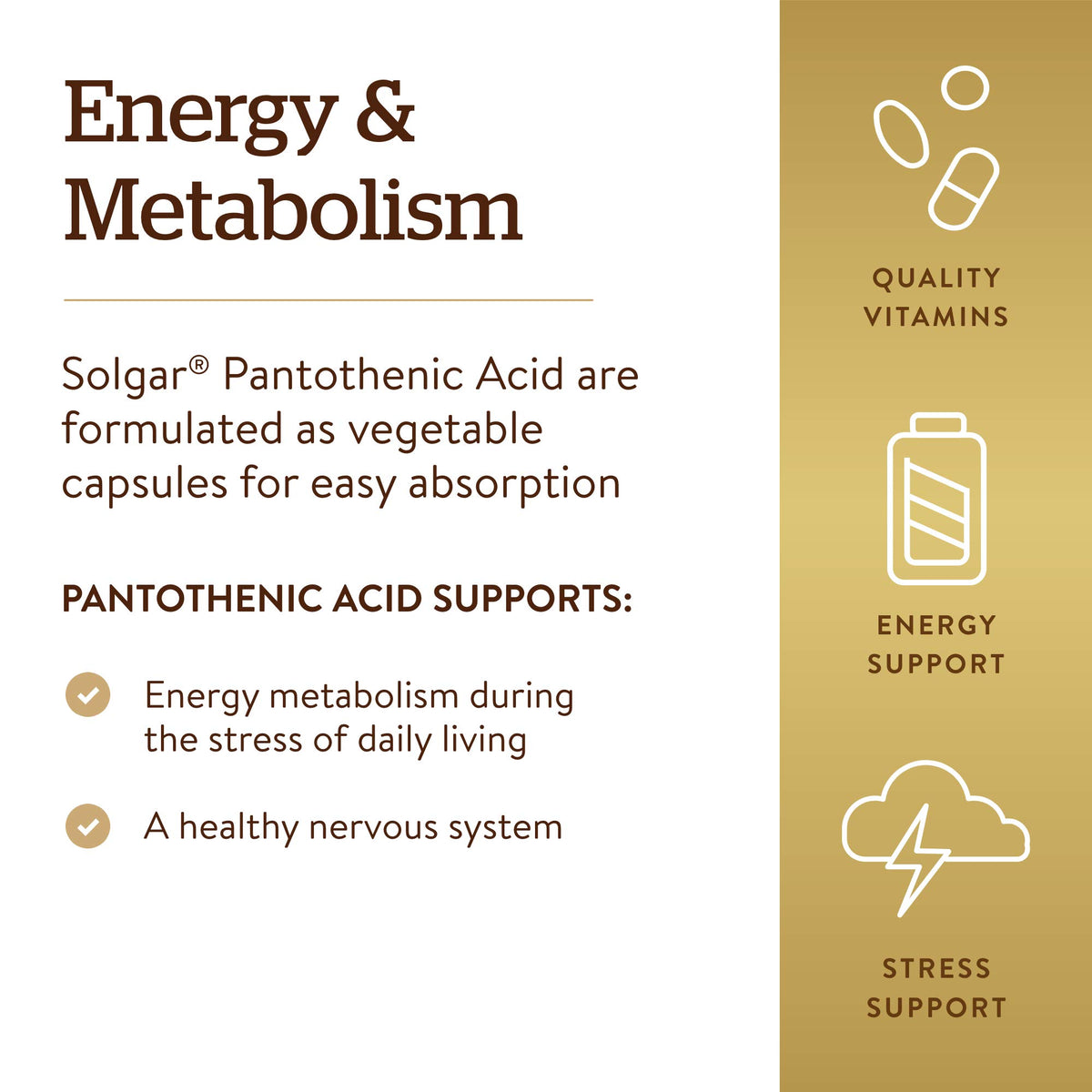 Solgar Pantothenic Acid 550 mg - 100 Vegetable Capsules - image 4