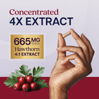 Purely Holistic Hawthorn Berry Extract 4:1 Supplement - 150 Capsules - image 5
