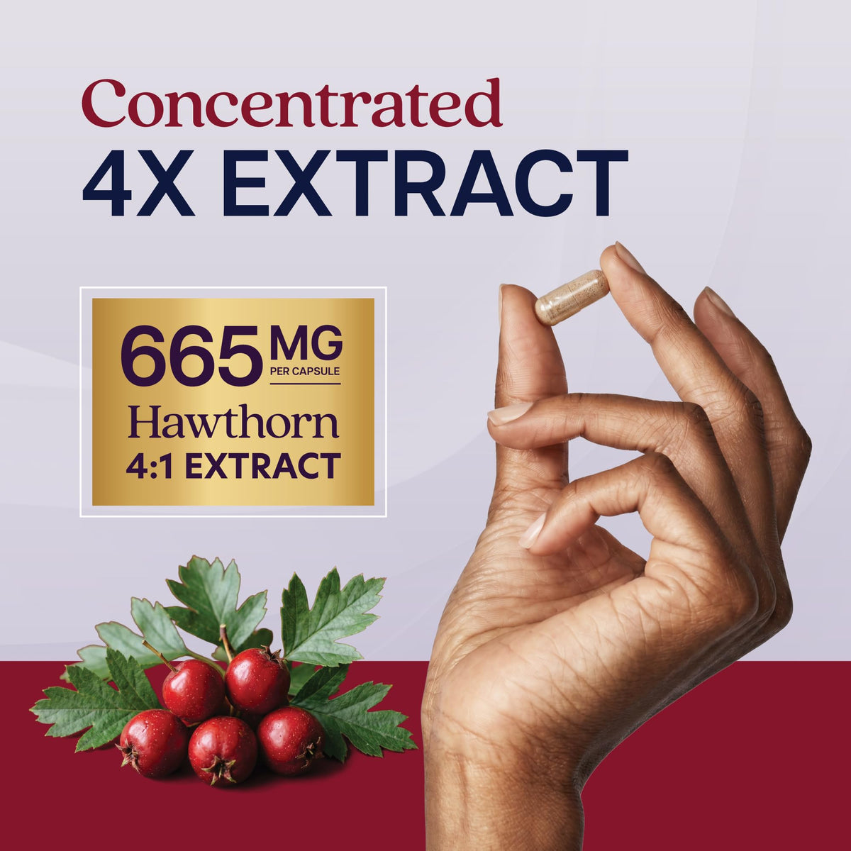 Purely Holistic Hawthorn Berry Extract 4:1 Supplement - 150 Capsules - image 5