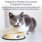 Rx Vitamins NutriGest Probiotic Powder for Cats & Dogs - 4.65oz - image 3