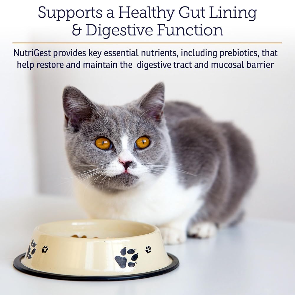 Rx Vitamins NutriGest Probiotic Powder for Cats & Dogs - 4.65oz - image 3
