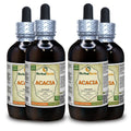 Herbal Terra LLC Acacia (Acacia Senegal) Tincture