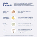 Ritual Prenatal Vitamins: Folate & Choline for Neural Tube Support