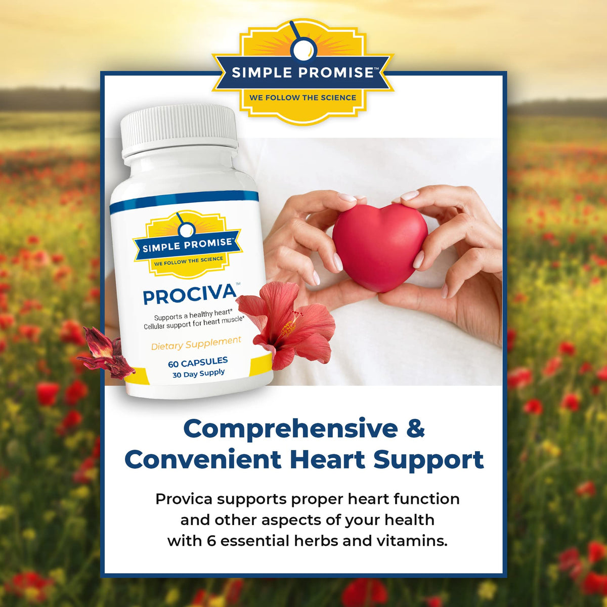 Simple Promise Prociva Arjuna Bark Extract Supplement - 60 Capsules - image 3