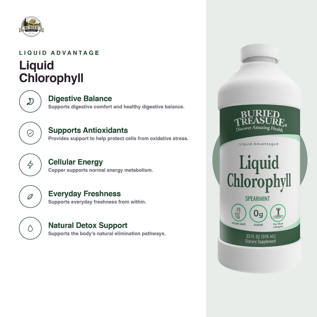 Buried Treasure Liquid Chlorophyll 100 mg Digestive Support - 32 Fl Oz - image 3