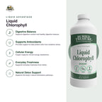 Buried Treasure Liquid Chlorophyll 100 mg Digestive Support - 32 Fl Oz - image 3