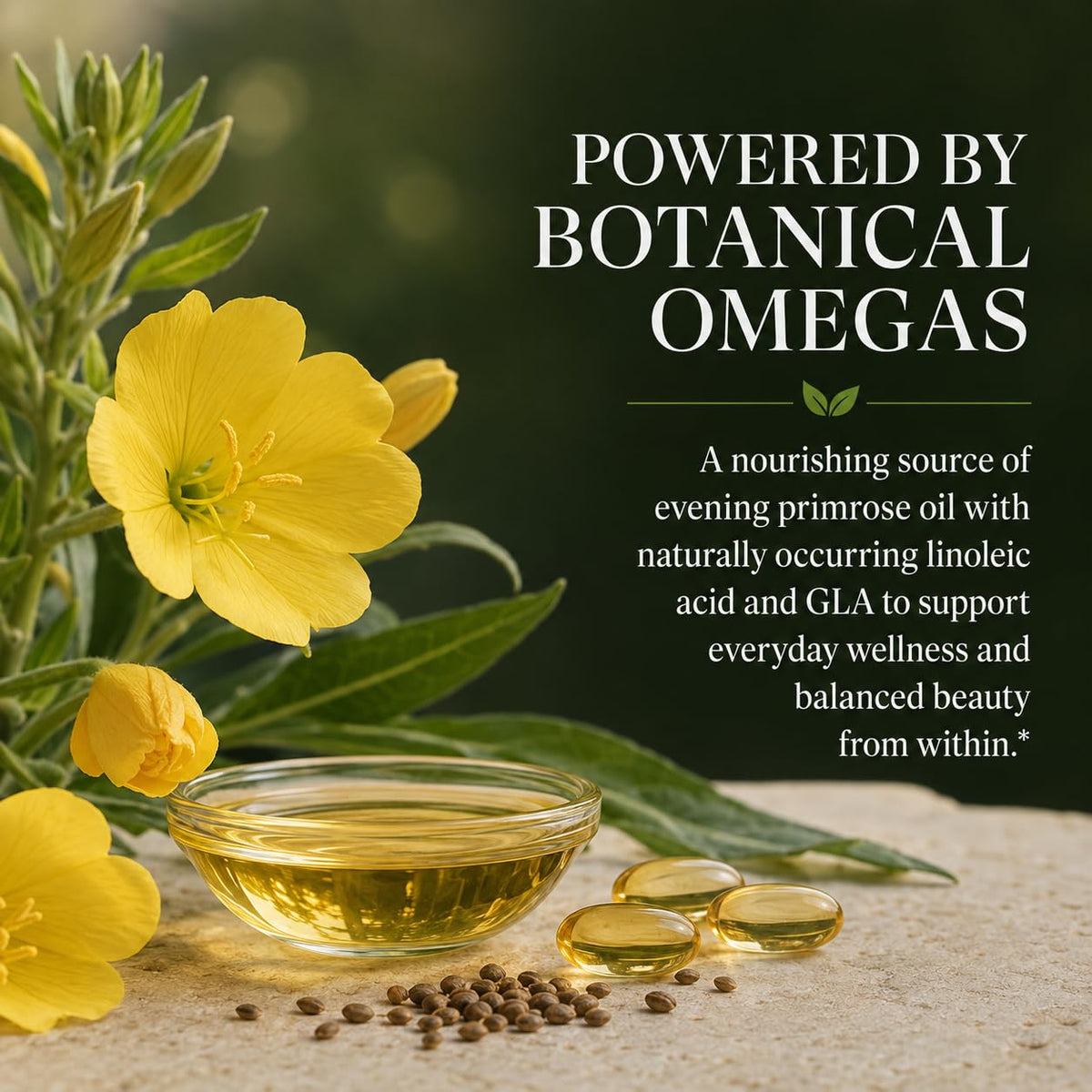 Green Organic Supplements Evening Primrose Oil GLA Organic - 90 Capsules - image 2