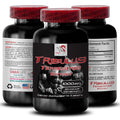 Swan Life Essentials Tribulus Terrestris Extract 1000mg - 90 Tablets