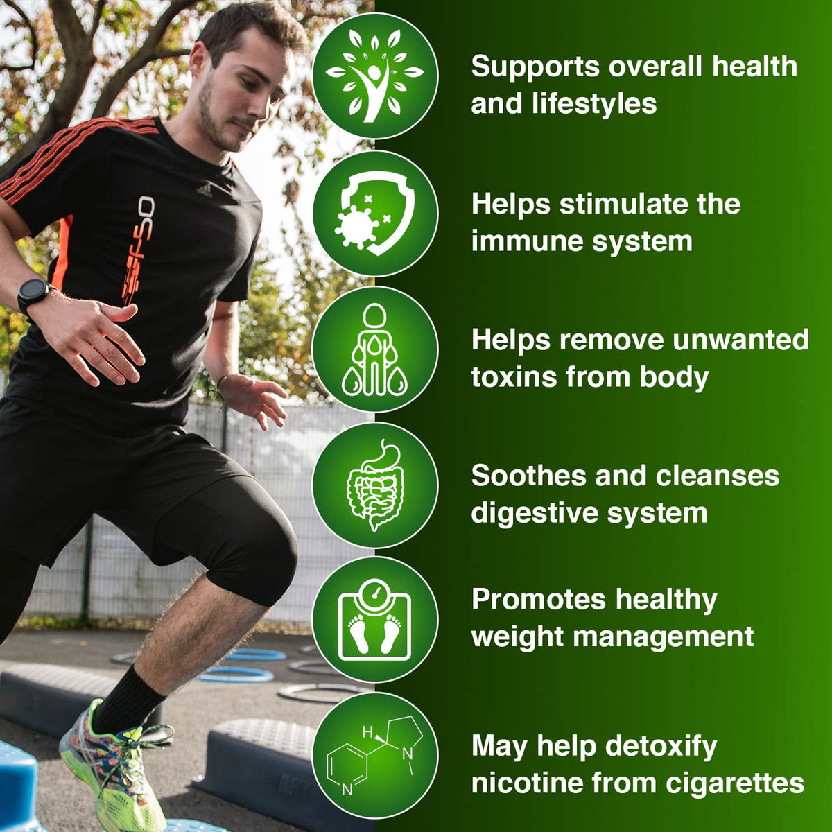 Wellgenix Strip 5 Day Detox Cleanse - 40 Capsules - image 4