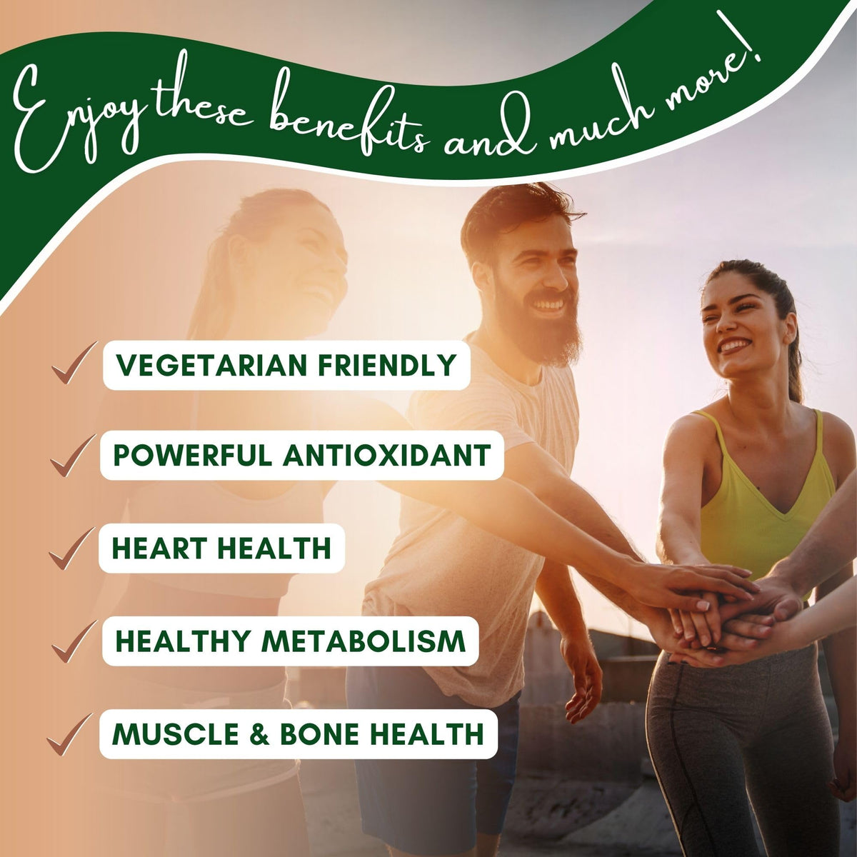 NutriONN Organic Ceylon Cinnamon 1200 mg - 120 Vegan Capsules - image 4