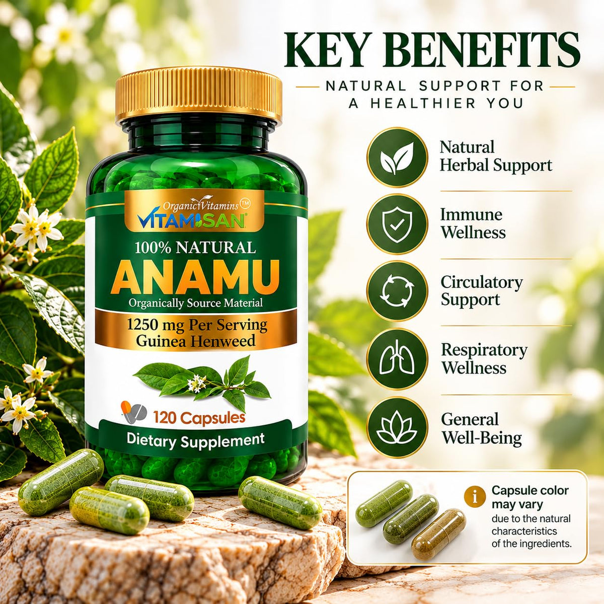 All Nue Anamu 1250mg Organic Herbal Supplement - 120 Capsules - image 6