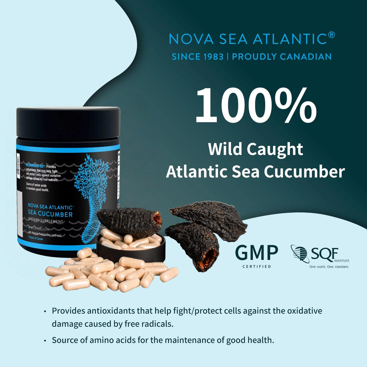 Nova Sea Atlantic Sea Cucumber + Blueberry Optimizer 120 Capsules