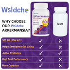 Wsidche AFU Akkermansia Muciniphila