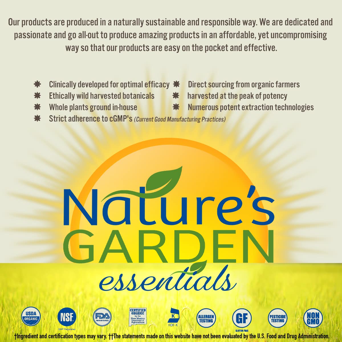 Nature's Garden Ginseng Master Energy Liquid Extract - 2 oz - image 5