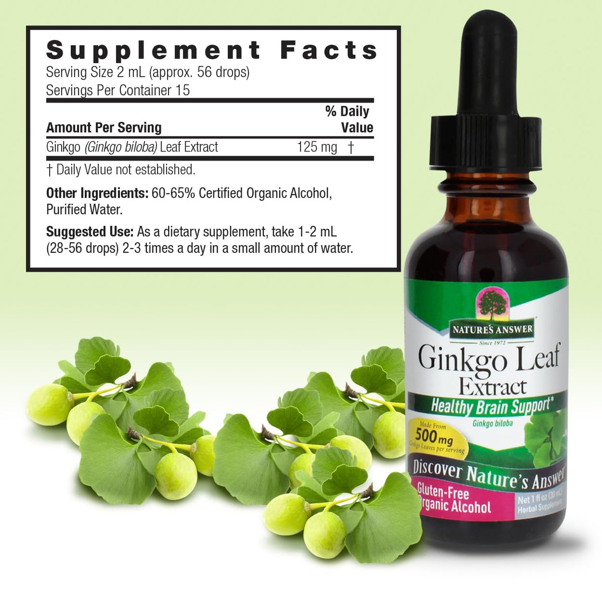 Nature's Answer Ginkgo Leaf Liquid Extract 500 mg - 1 Fl Oz - image 3