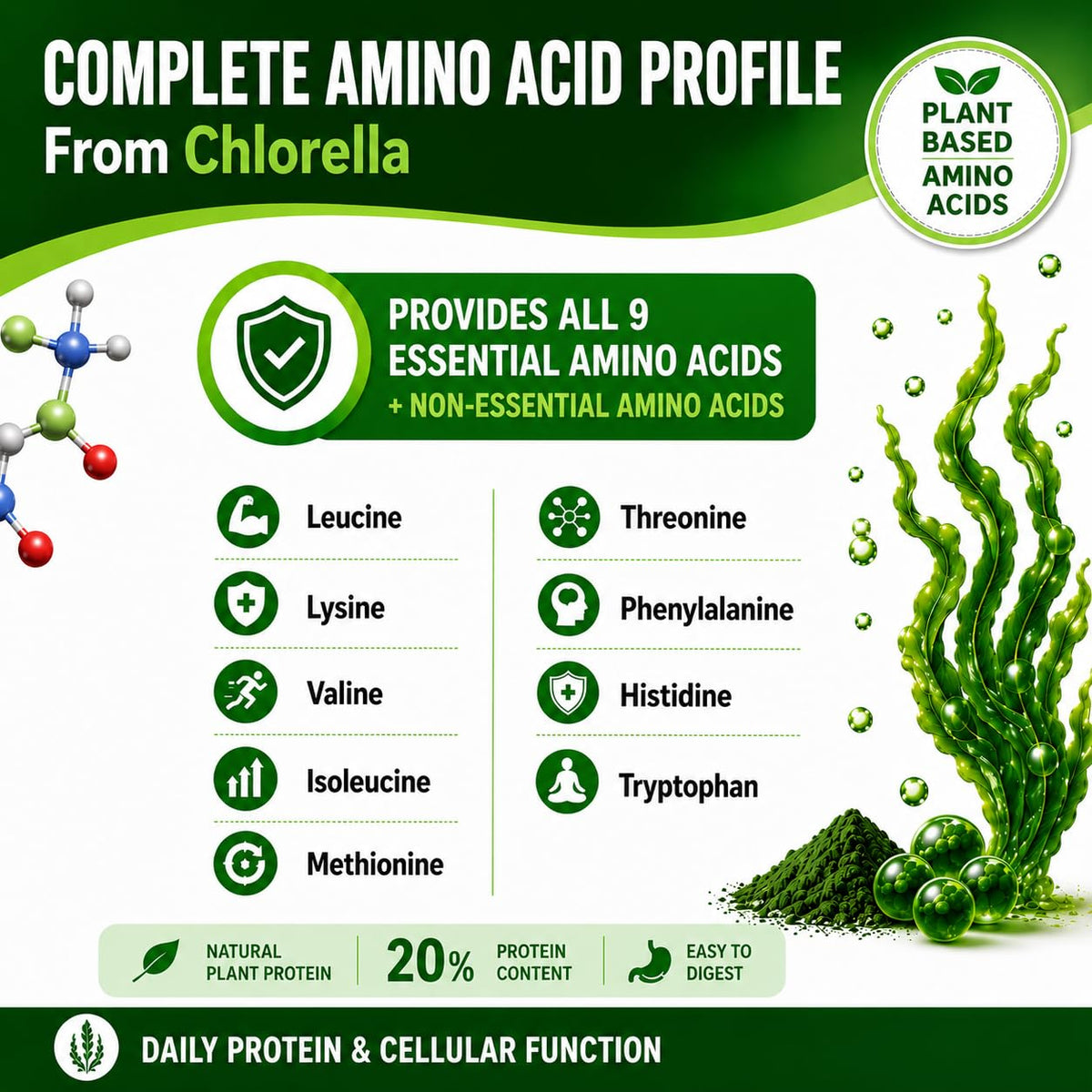 HCL Herbal Code Labs Chlorella 3000 mg - 180 Capsules - image 8