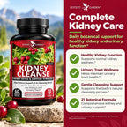 Potent Garden Kidney Cleanse Detox & Support Capsules - image 4