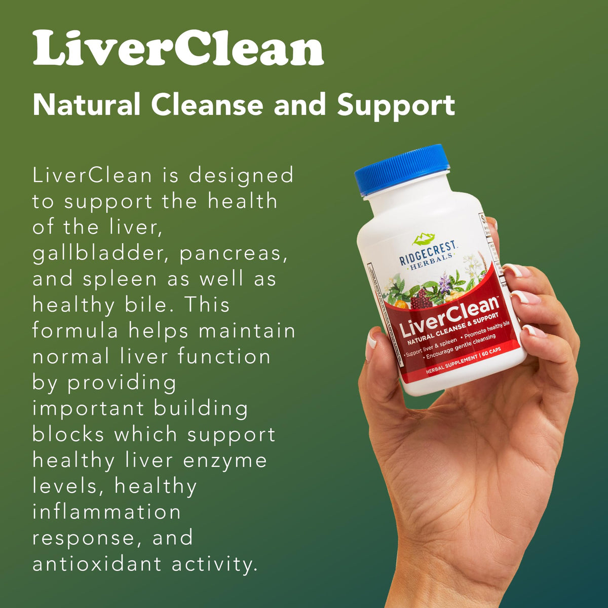 RidgeCrest Herbals LiverClean Herbal Liver Support - 60 Capsules - image 5