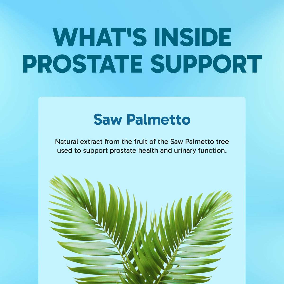 Clinical Effects Prostate Health Supplement - 60 Capsules - image 4