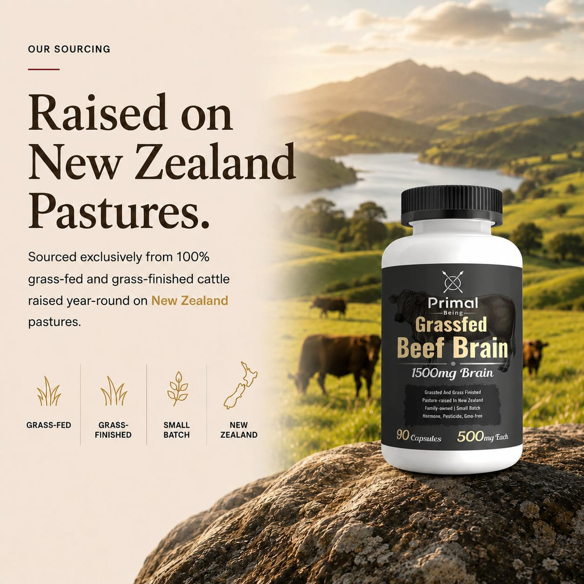 Primal Being Grassfed Beef Brain Capsules - 90 Capsules - image 4
