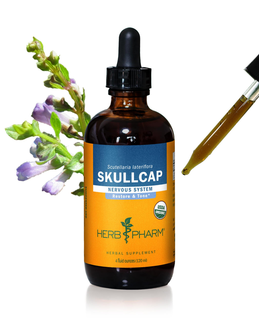 Herb Pharm Skullcap Liquid Herbal Extract - 4 fl oz