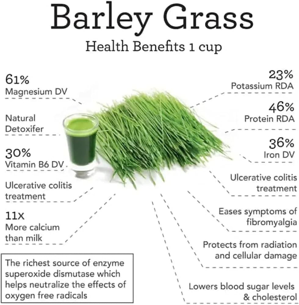 PRFECT Organic Barley Grass Powder - 20 Sachets - image 2