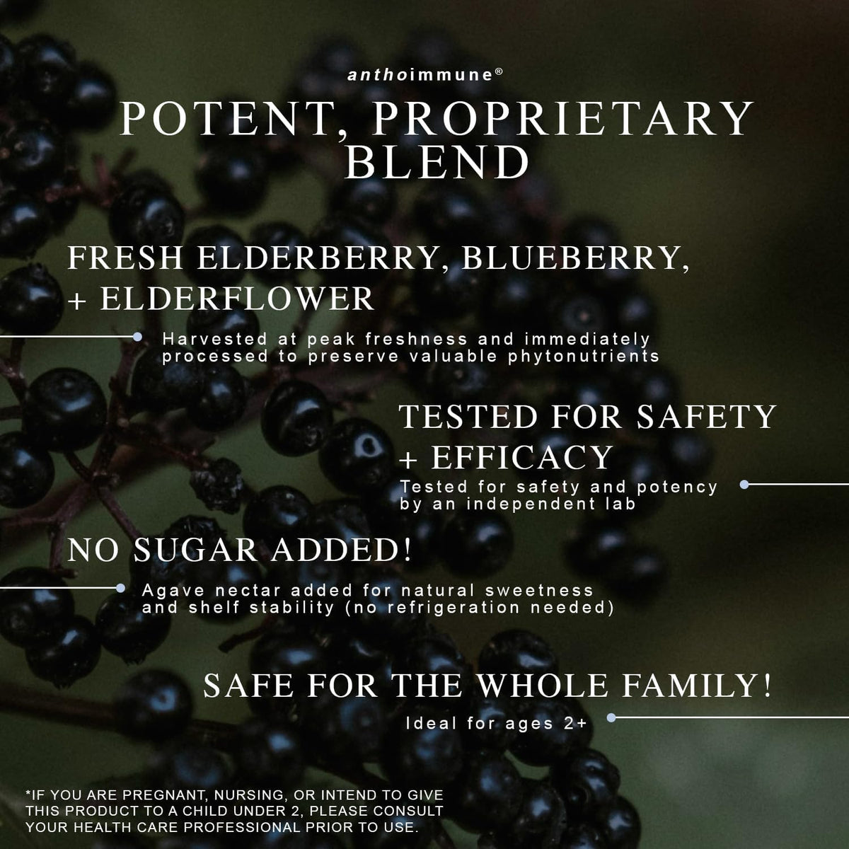 Maine Medicinals Organic Elderberry Syrup Immune Support - 4 oz - image 4