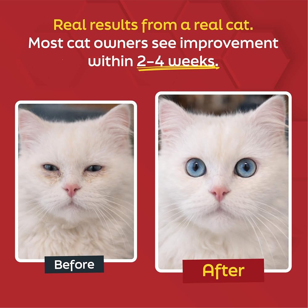 Daybreak Nutrition L-Lysine for Cats and Kittens - 900 mg L Lysine