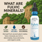 Buried Treasure Fulvic Mineral Drops – 295mg Trace Minerals - 2 fl oz - image 3