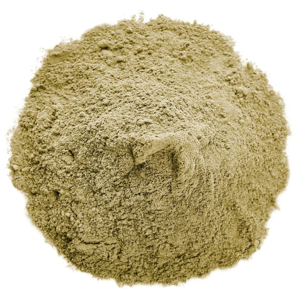 Food to Live Organic Hemp Protein Powder