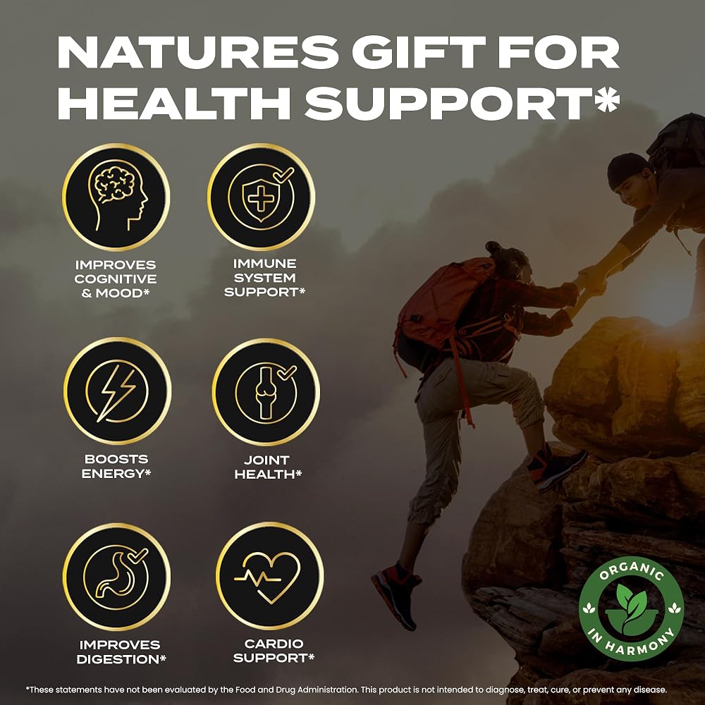 Organic In Harmony Shilajit Gummies for Wellness - 60 Gummies - image 4